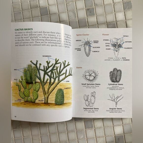 Cactus of Texas Field Guide - Picture 5 of 6